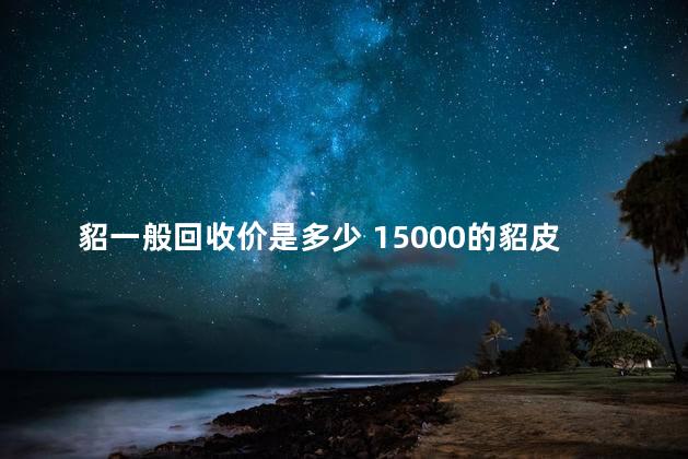 貂一般回收价是多少 15000的貂皮多少钱回收